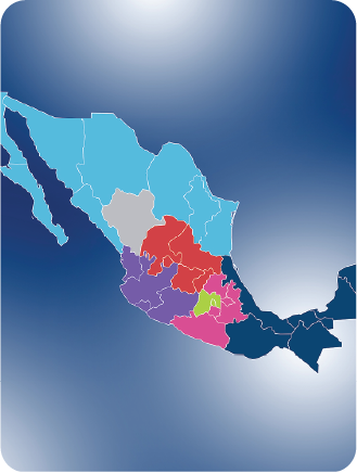 Proyectos